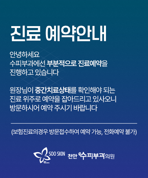 안내